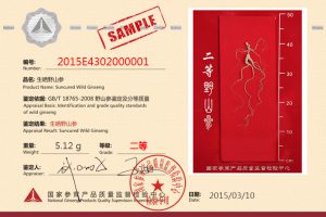 2nd Grade 4D Class NGPQSIC Certified Chinese Wild Ginseng